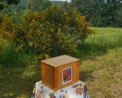 IX. ekumenická bohoslužba u Kaple Nejsvatější Trojice v Kunclův Mlýn v Brzině