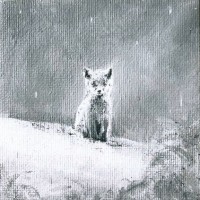 Anna Chmelařová Anna Chmelařová